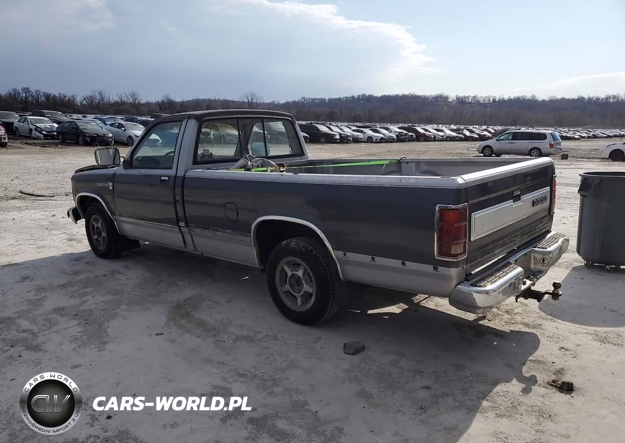 1987 Dodge Dakota VIN:1B7GN14M1HS422720 - 2