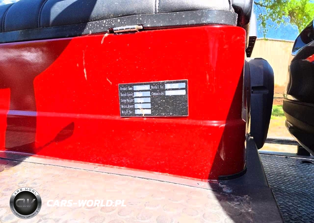 2023 Golf Golf Cart VIN:2210DA062 - 10