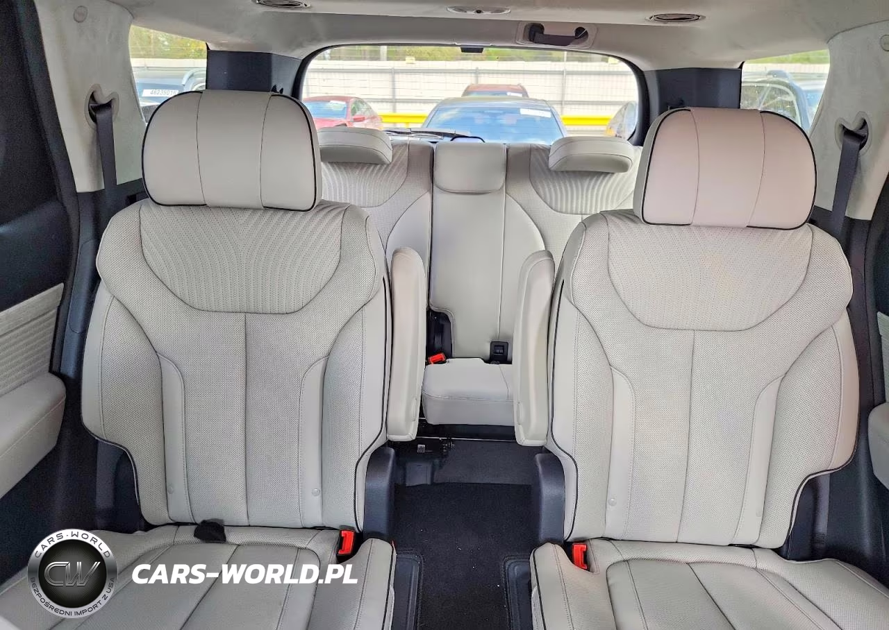 2025 Hyundai Palisade Calligraphy VIN:KM8R7DGE2SU821135 - 10