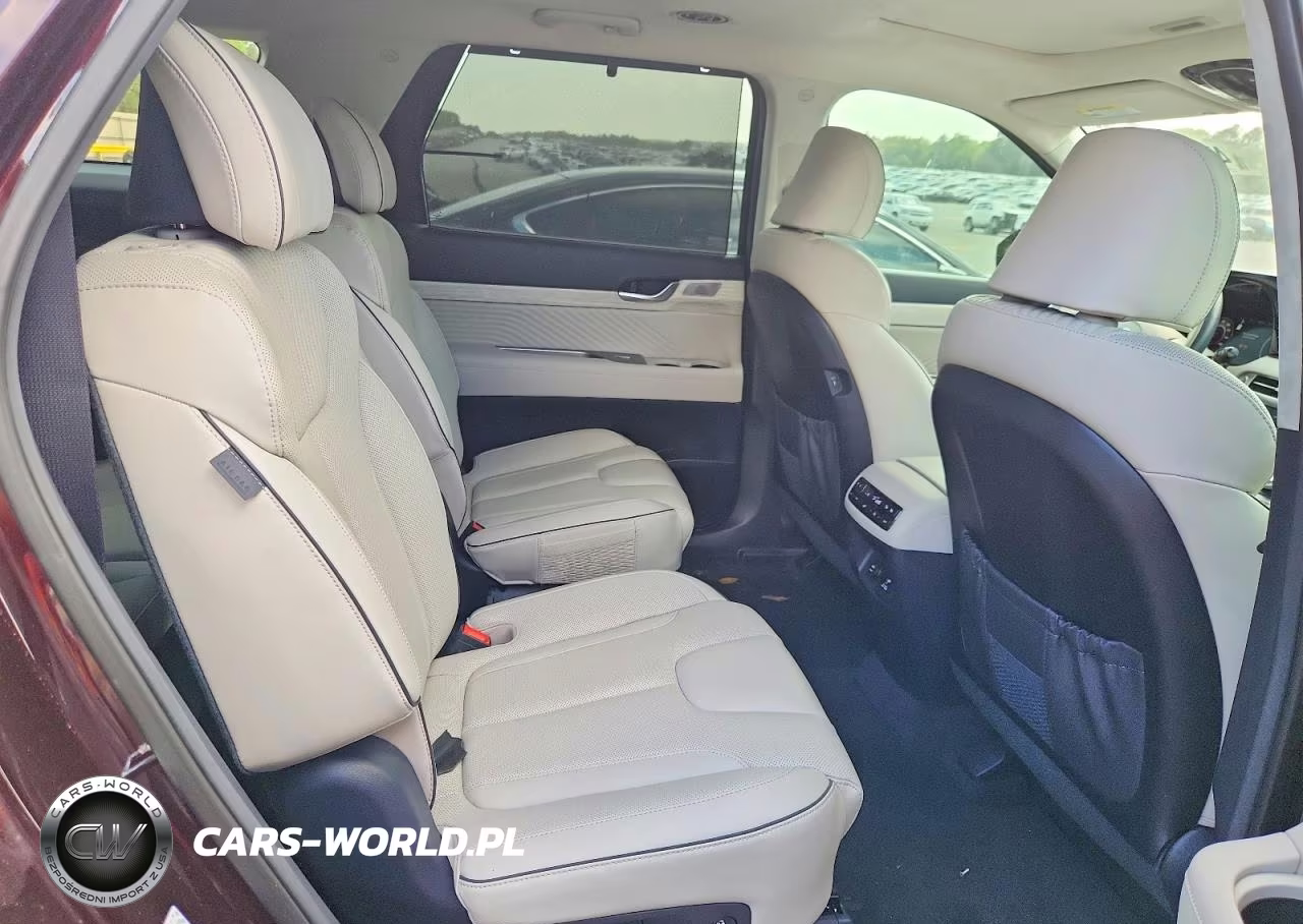 2025 Hyundai Palisade Calligraphy VIN:KM8R7DGE2SU821135 - 11
