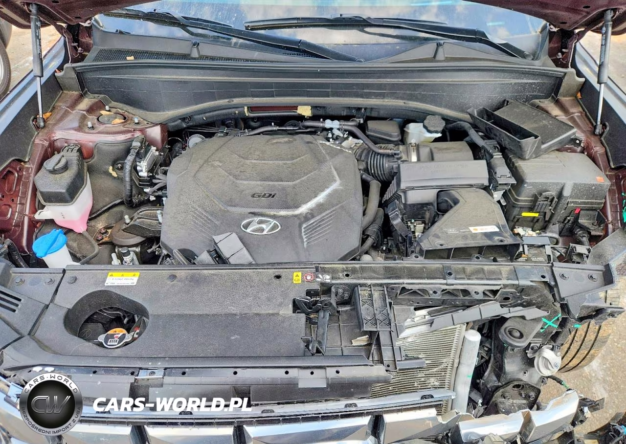 2025 Hyundai Palisade Calligraphy VIN:KM8R7DGE2SU821135 - 12