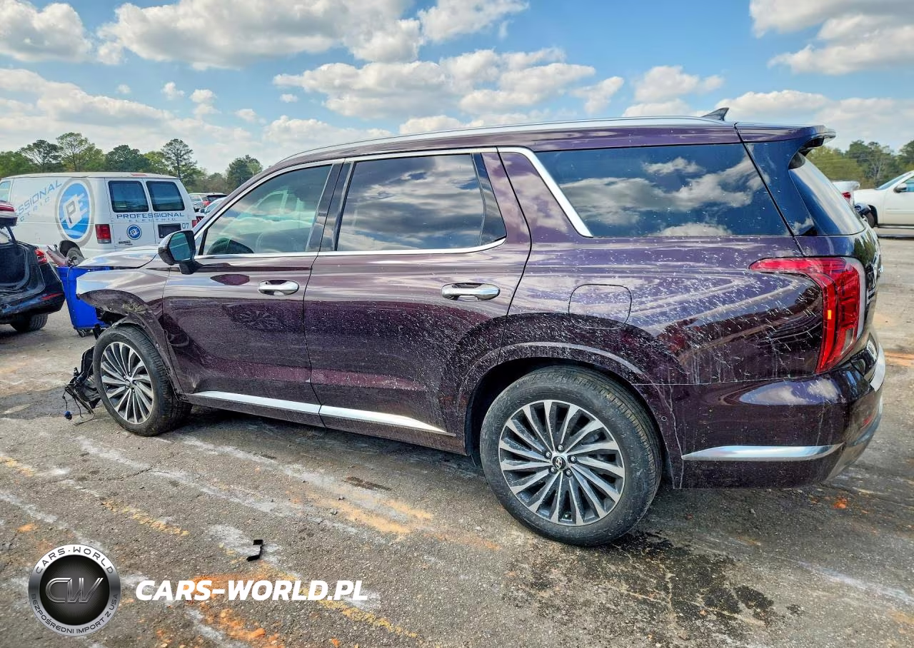 2025 Hyundai Palisade Calligraphy VIN:KM8R7DGE2SU821135 - 2