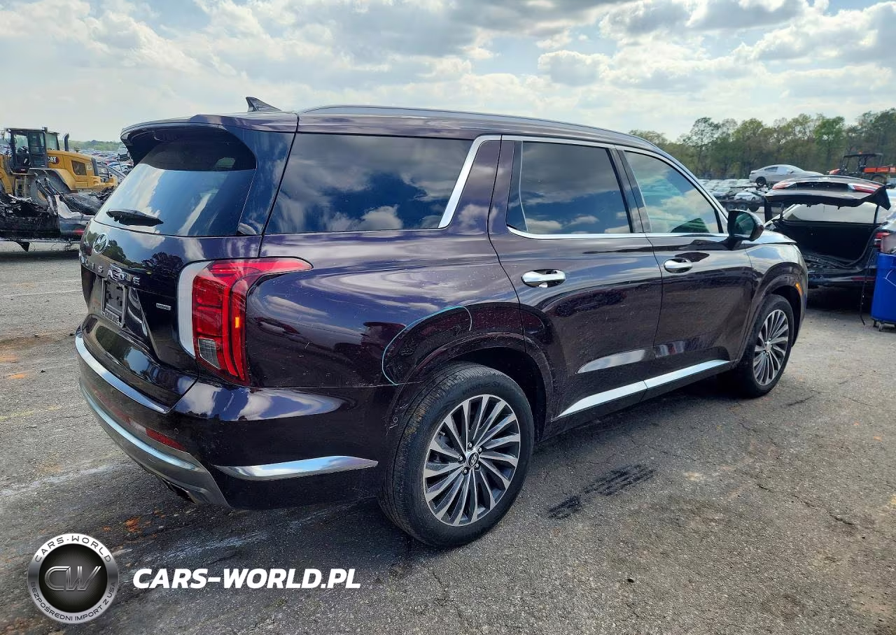 2025 Hyundai Palisade Calligraphy VIN:KM8R7DGE2SU821135 - 3