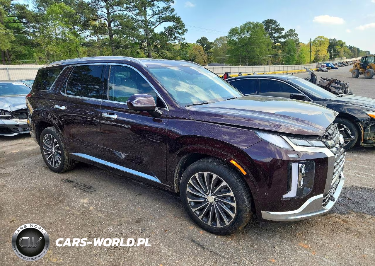 2025 Hyundai Palisade Calligraphy VIN:KM8R7DGE2SU821135 - 4