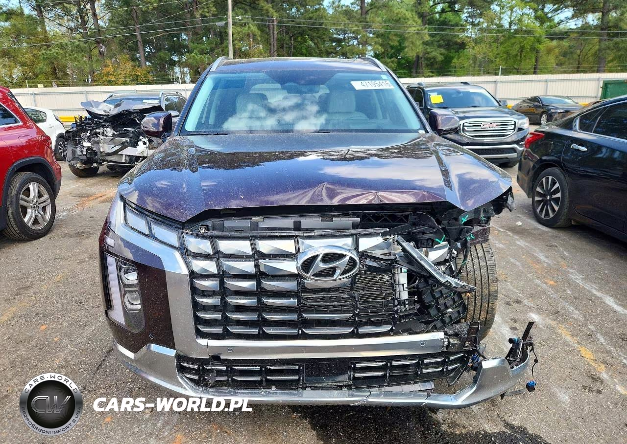 2025 Hyundai Palisade Calligraphy VIN:KM8R7DGE2SU821135 - 5