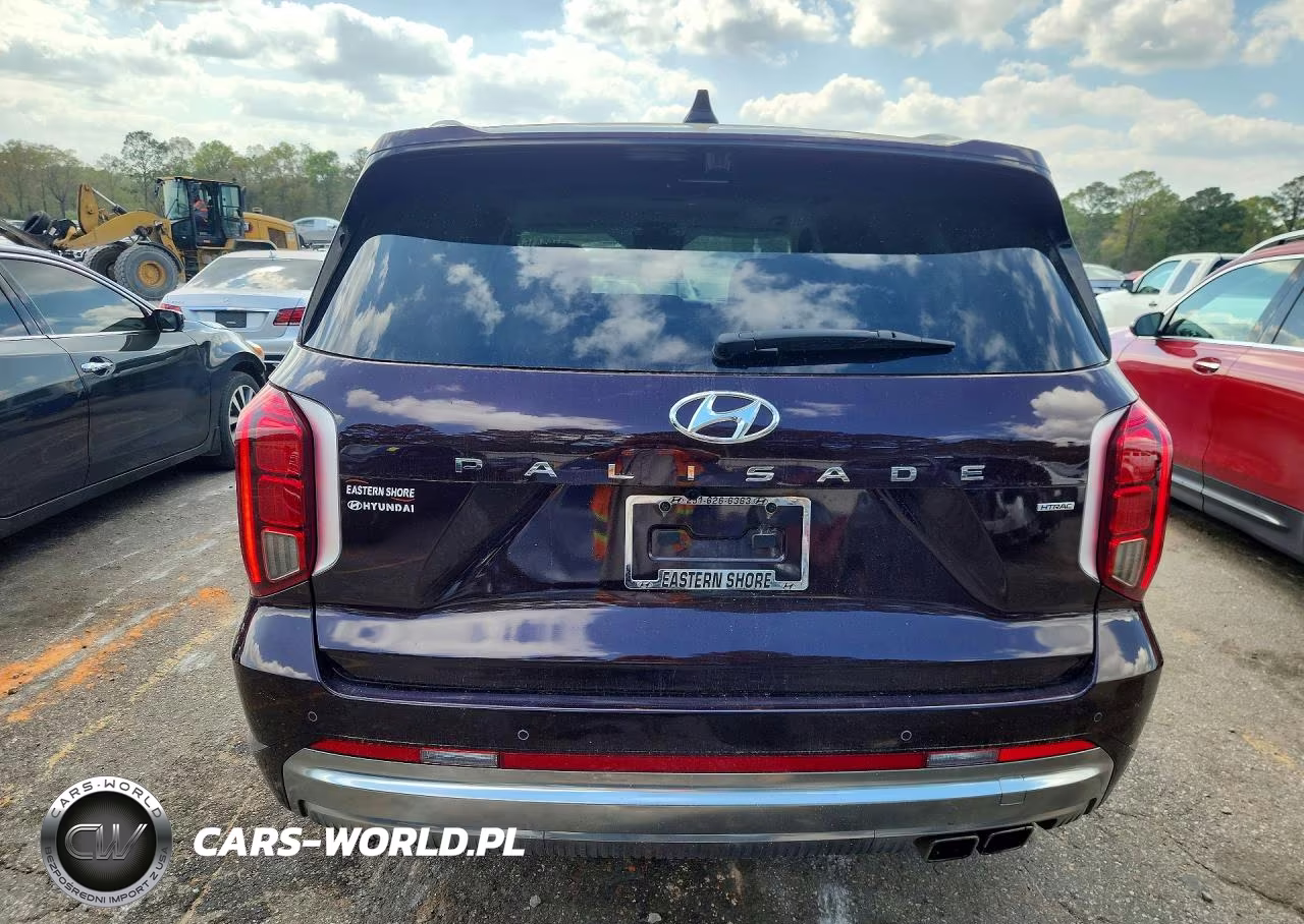 2025 Hyundai Palisade Calligraphy VIN:KM8R7DGE2SU821135 - 6