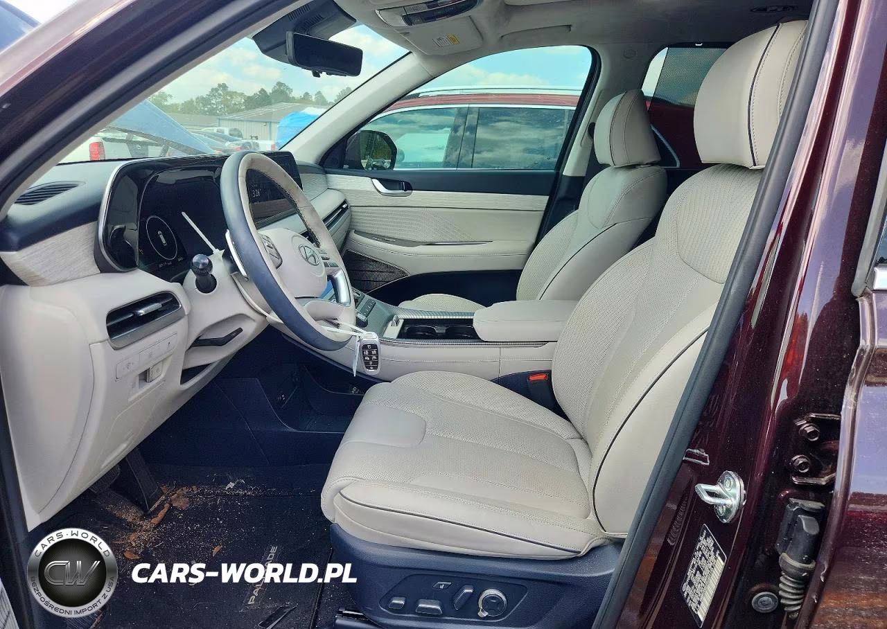 2025 Hyundai Palisade Calligraphy VIN:KM8R7DGE2SU821135 - 7