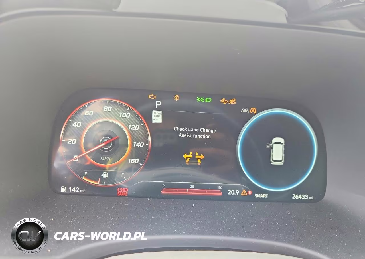 2025 Hyundai Palisade Calligraphy VIN:KM8R7DGE2SU821135 - 9
