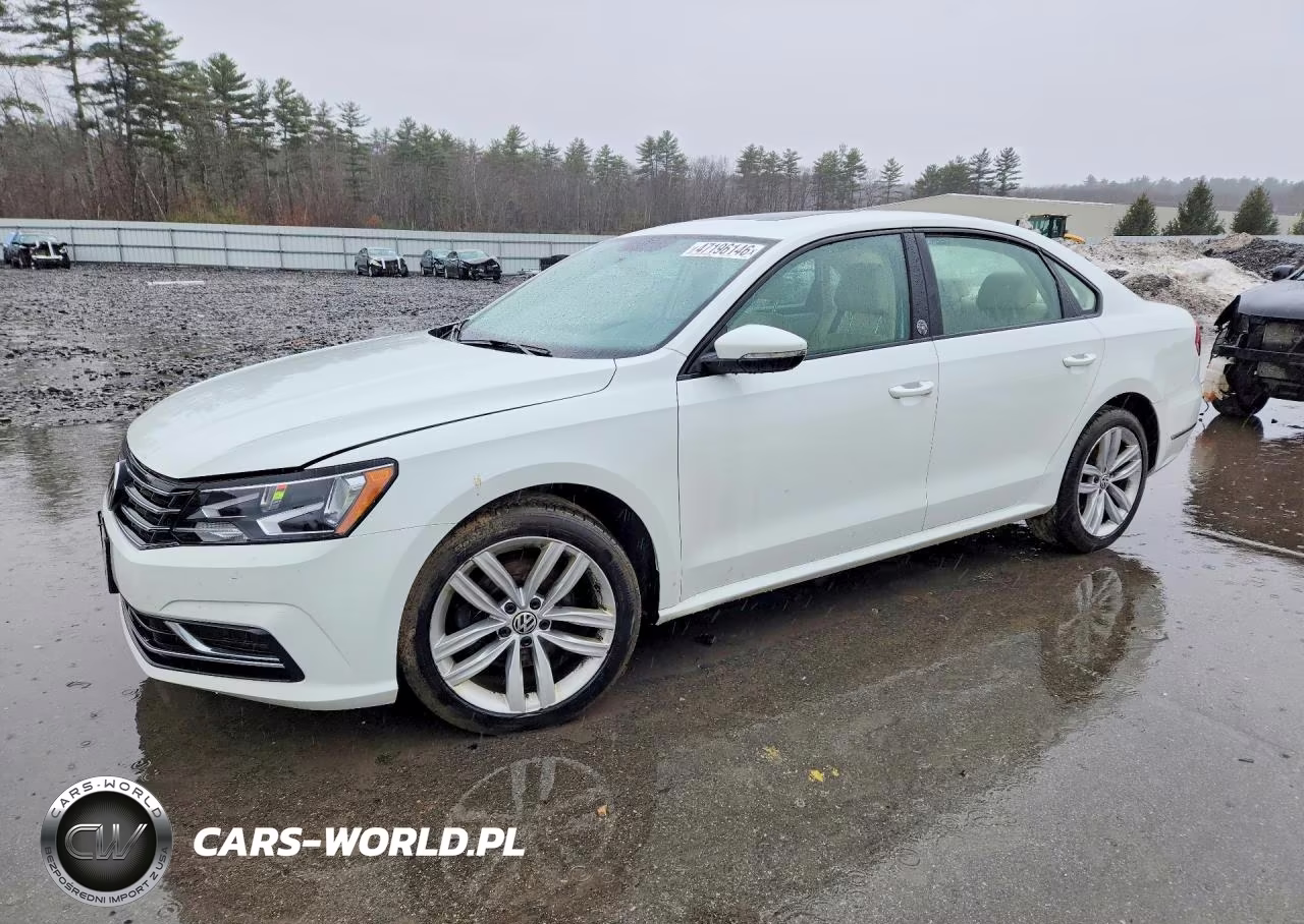 2019 Volkswagen Passat Wolfsburg