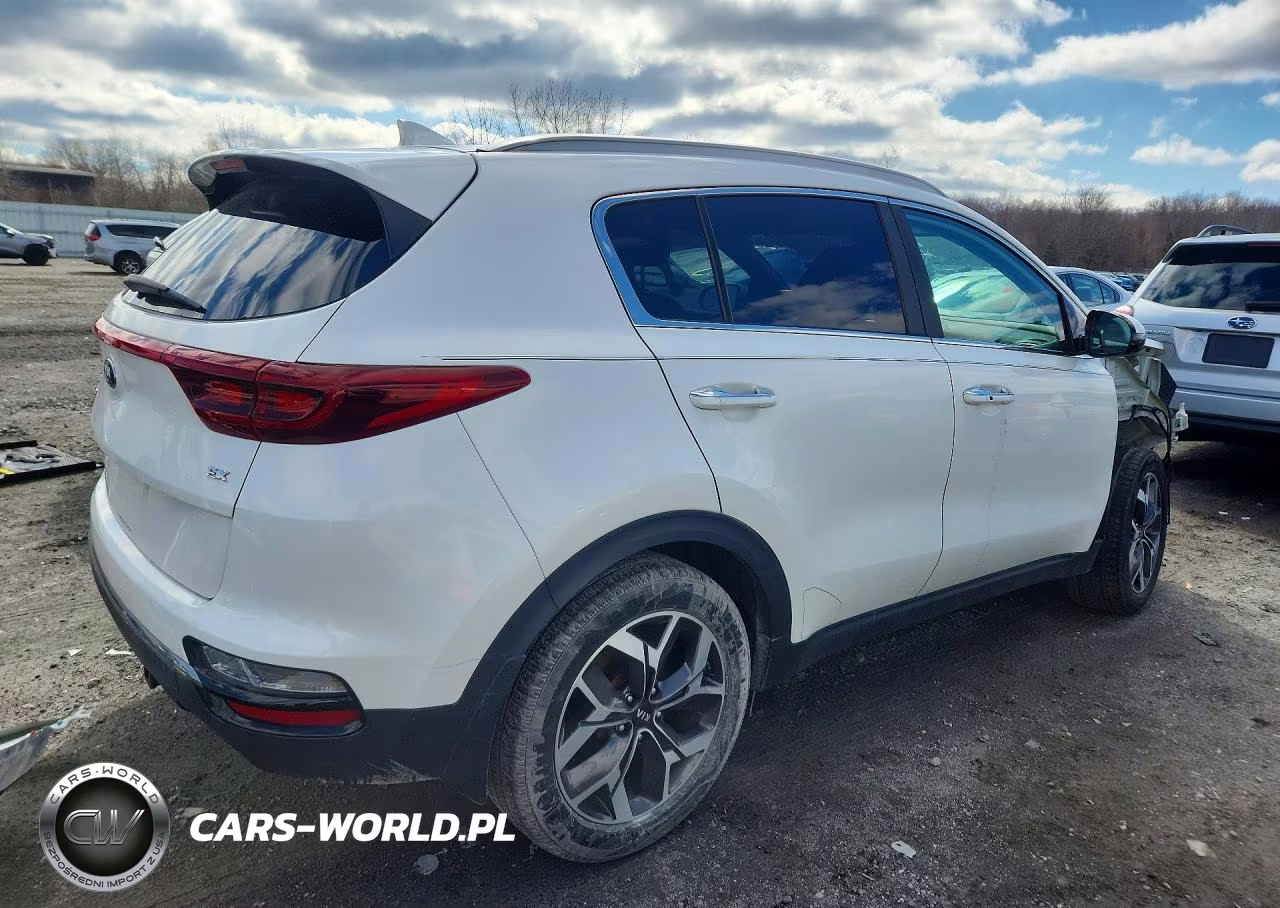2020 Kia Sportage Ex VIN:KNDPN3AC1L7633189 - 3