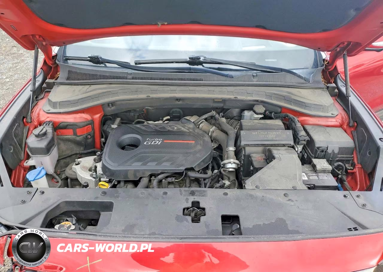 2020 Hyundai Santa Fe Limited 2.0T VIN:5NMS53AA5LH274303 - 12