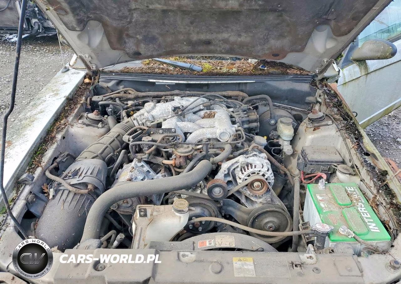 2004 Ford Mustang VIN:1FAFP446X4F216359 - 11