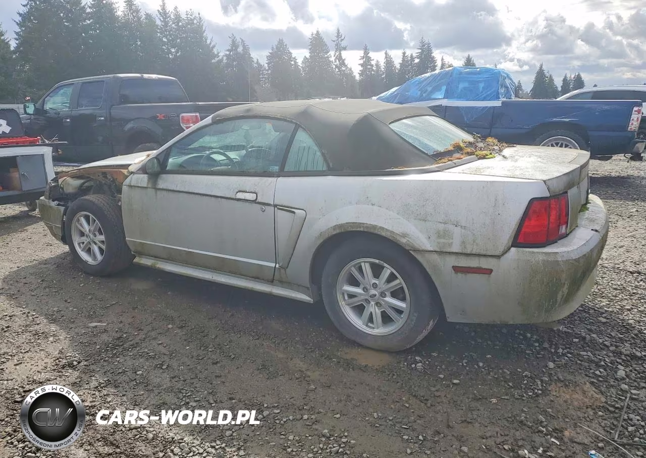 2004 Ford Mustang VIN:1FAFP446X4F216359 - 2
