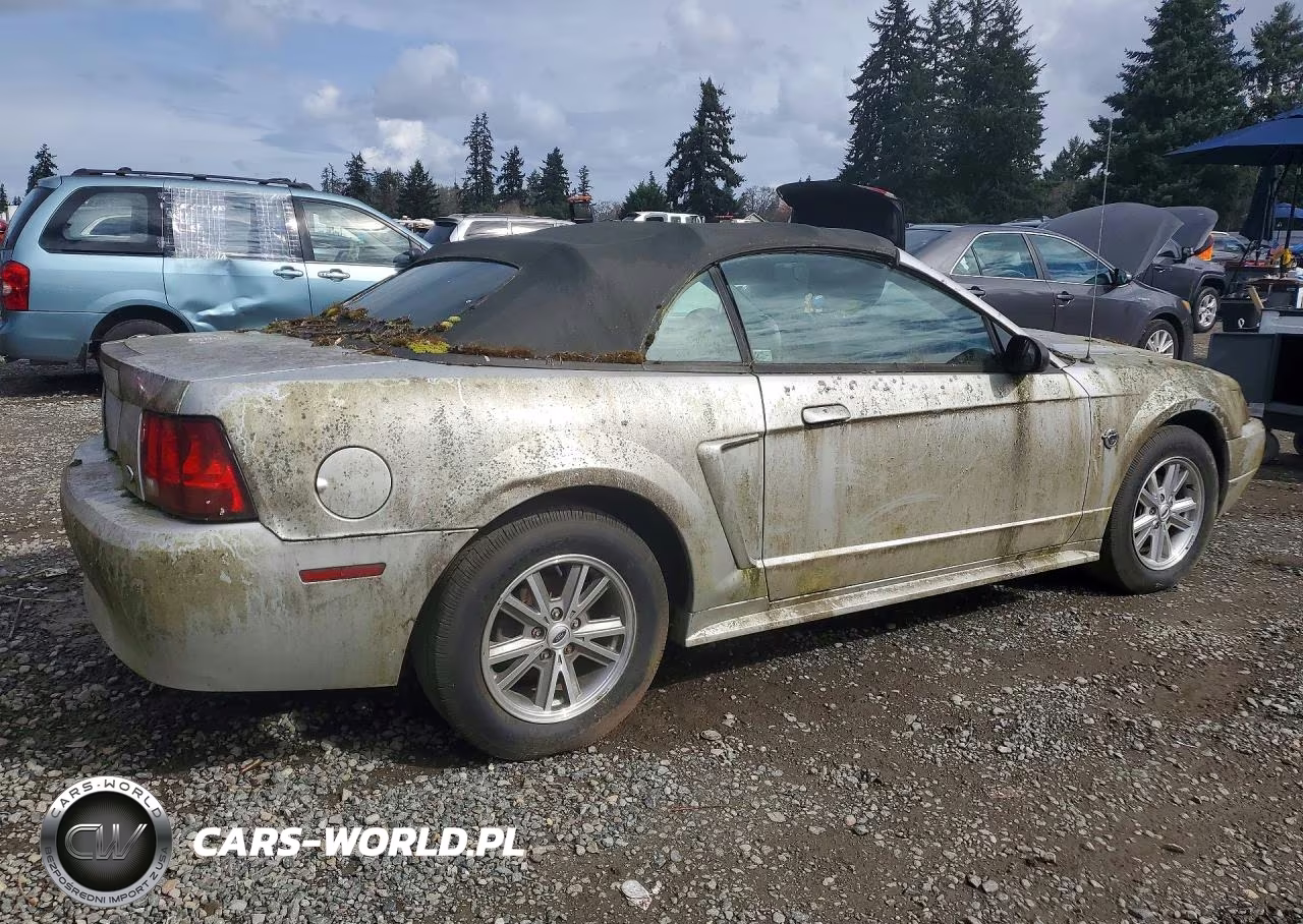 2004 Ford Mustang VIN:1FAFP446X4F216359 - 3