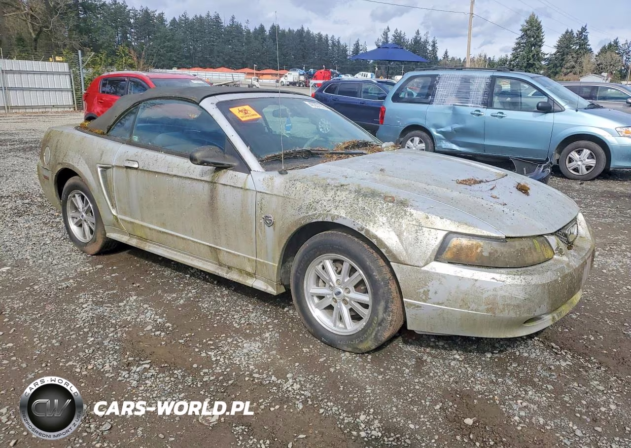 2004 Ford Mustang VIN:1FAFP446X4F216359 - 4