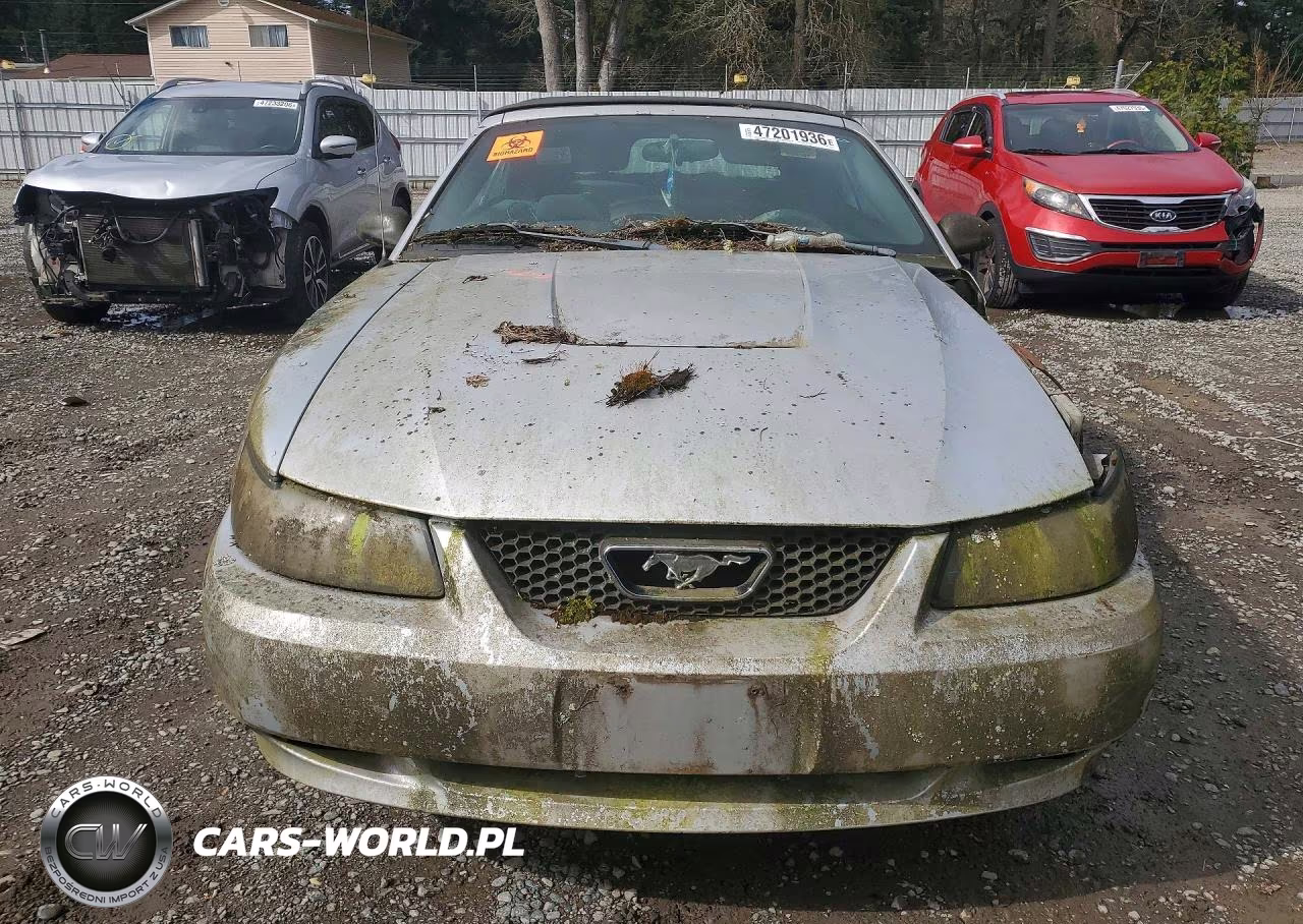 2004 Ford Mustang VIN:1FAFP446X4F216359 - 5