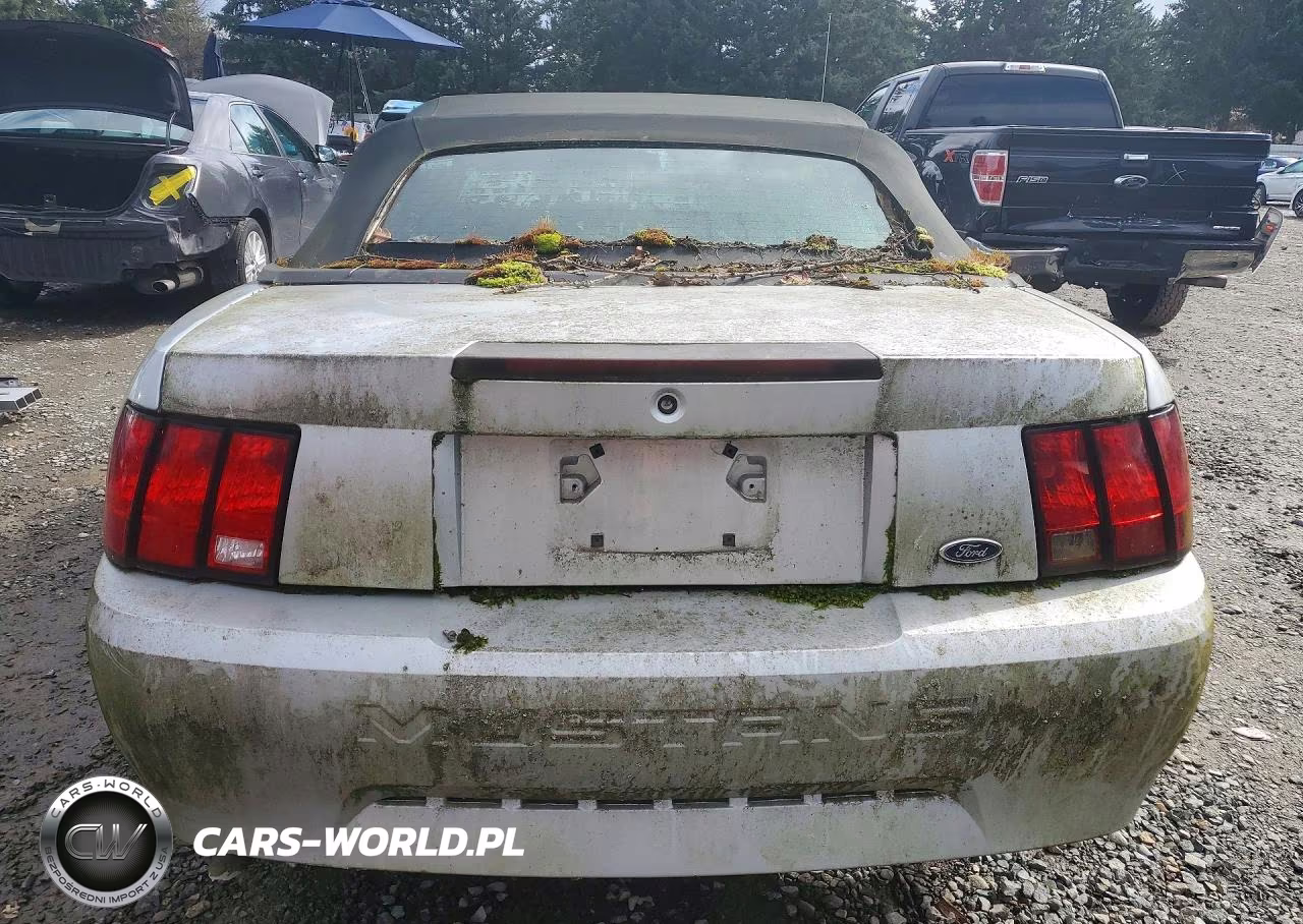 2004 Ford Mustang VIN:1FAFP446X4F216359 - 6