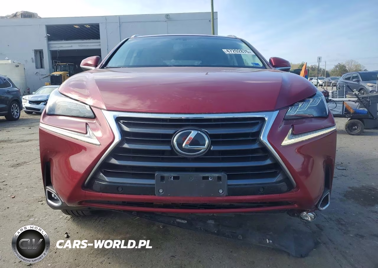 2016 Lexus Nx 200T VIN:JTJBARBZ4G2072207 - 5