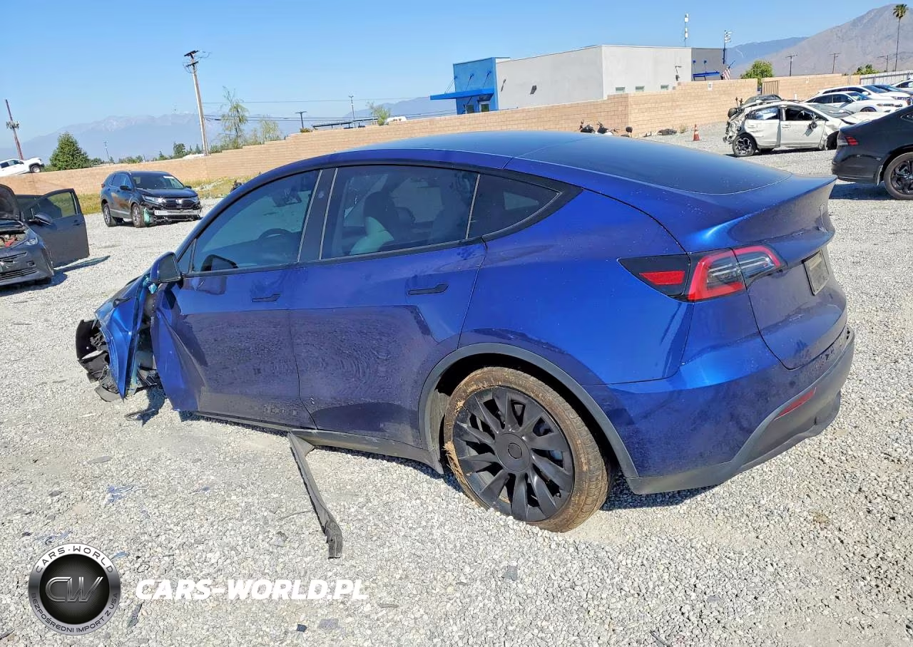 2024 Tesla Model Y VIN:7SAYGDEE6RF005151 - 2