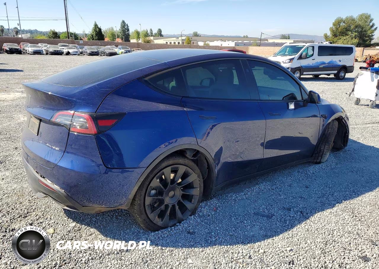 2024 Tesla Model Y VIN:7SAYGDEE6RF005151 - 3