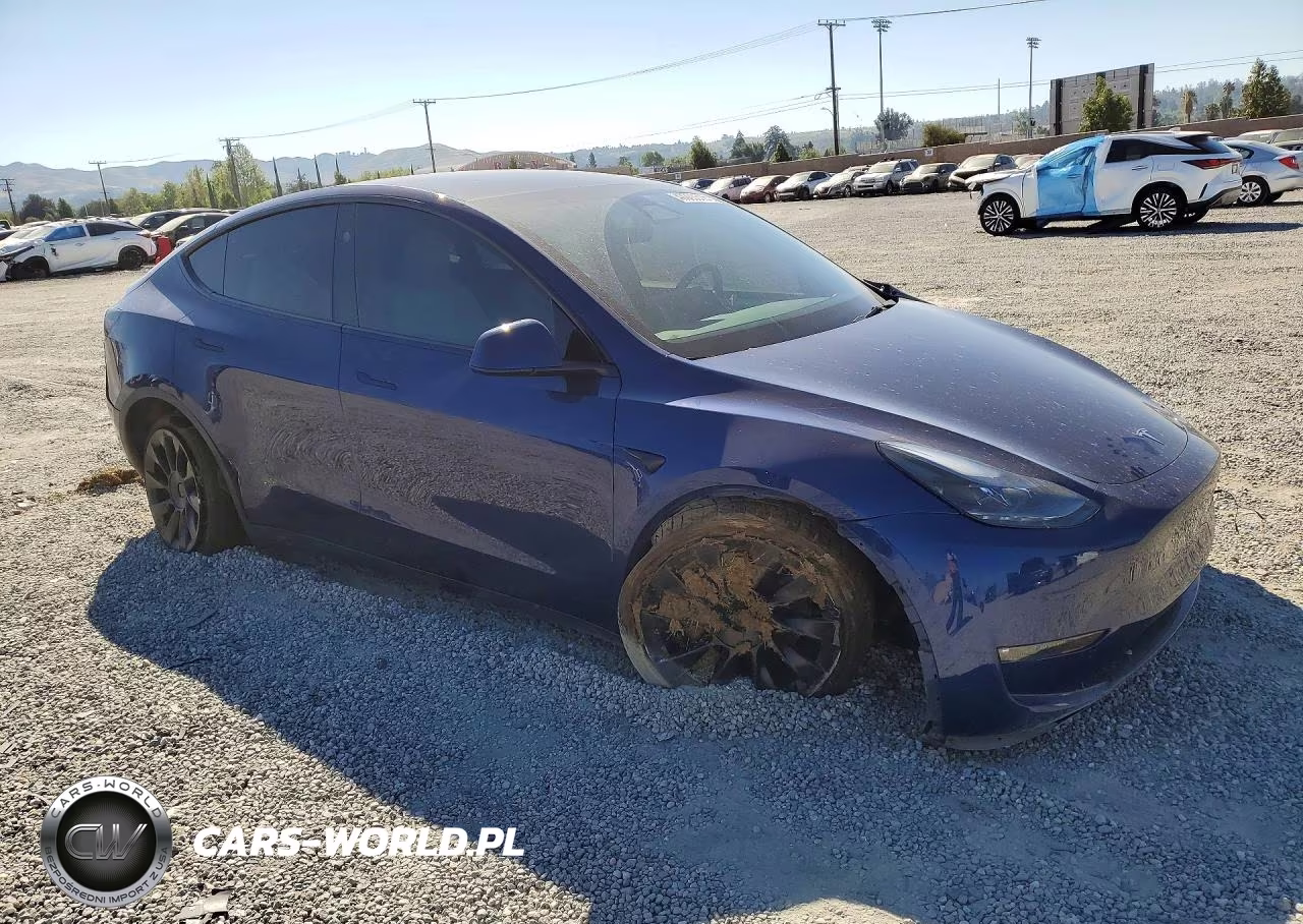 2024 Tesla Model Y VIN:7SAYGDEE6RF005151 - 4