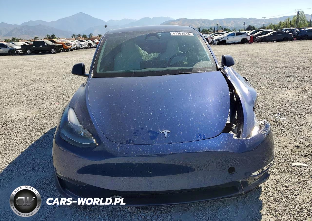 2024 Tesla Model Y VIN:7SAYGDEE6RF005151 - 5