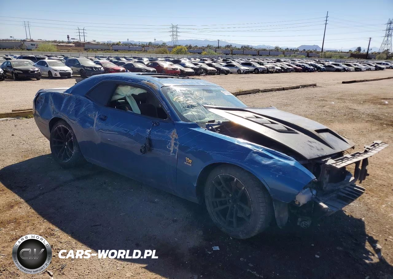 2020 Dodge Challenger R VIN:2C3CDZFJ6LH203579 - 4