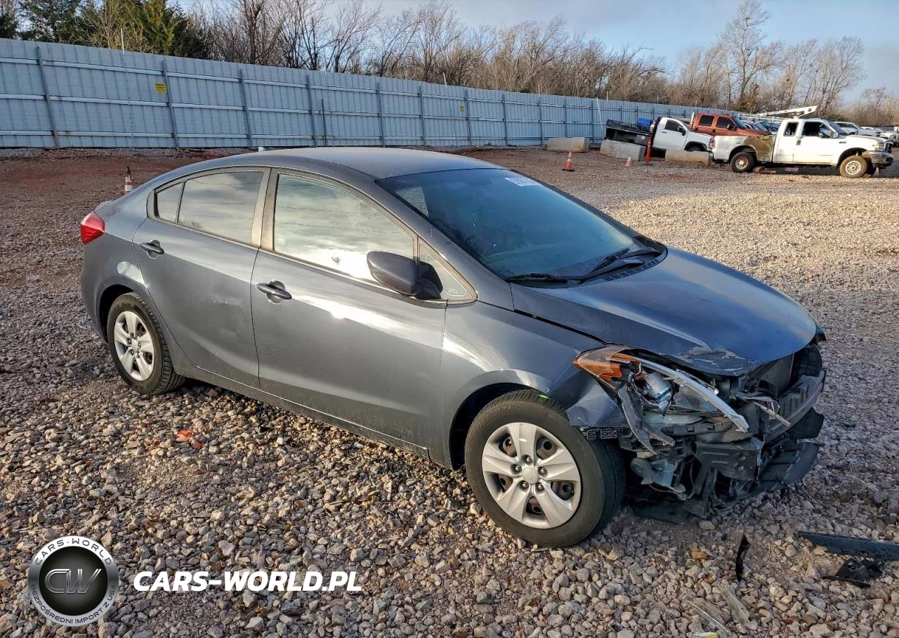 2016 Kia Forte Lx VIN:KNAFK4A68G5594782 - 4