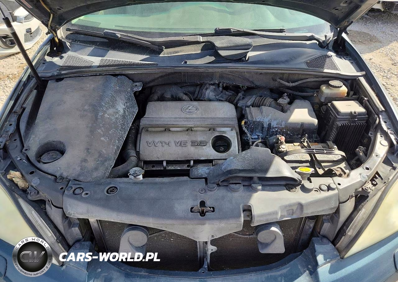2004 Lexus Rx 330 Base VIN:JTJHA31U240004301 - 12