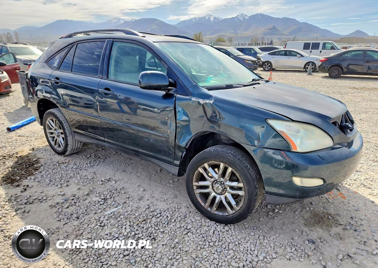 2004 Lexus Rx 330 Base VIN:JTJHA31U240004301 - 4