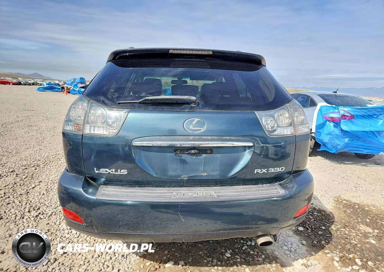 2004 Lexus Rx 330 Base VIN:JTJHA31U240004301 - 6