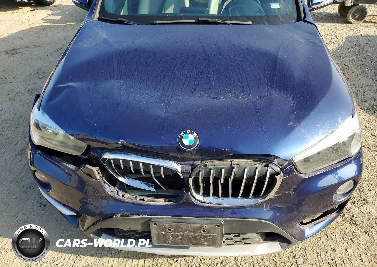 2018 BMW X1 VIN:WBXHT3C3XJ5K24918 - 12