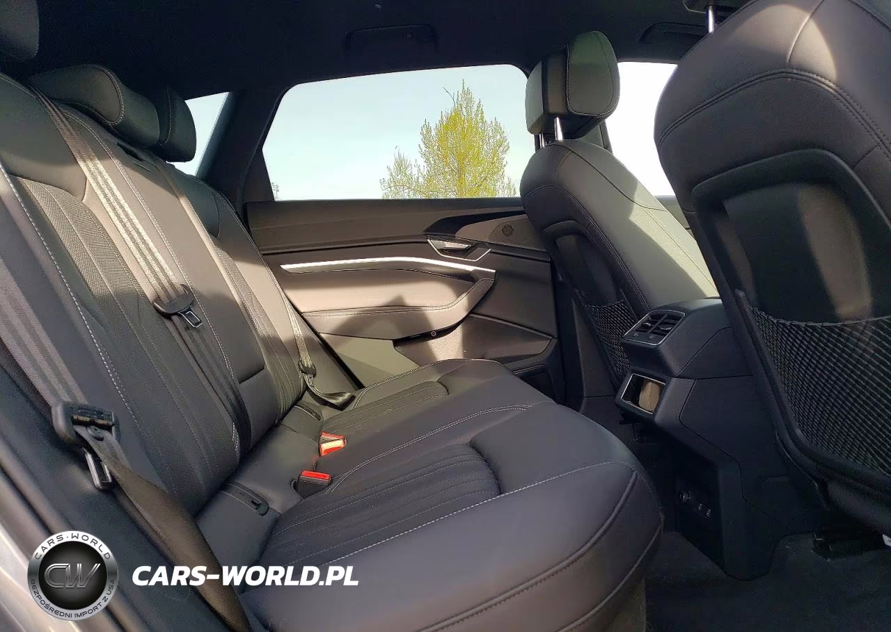 2022 Audi E-Tron Premium Plus VIN:WA1LAAGE2NB014103 - 10