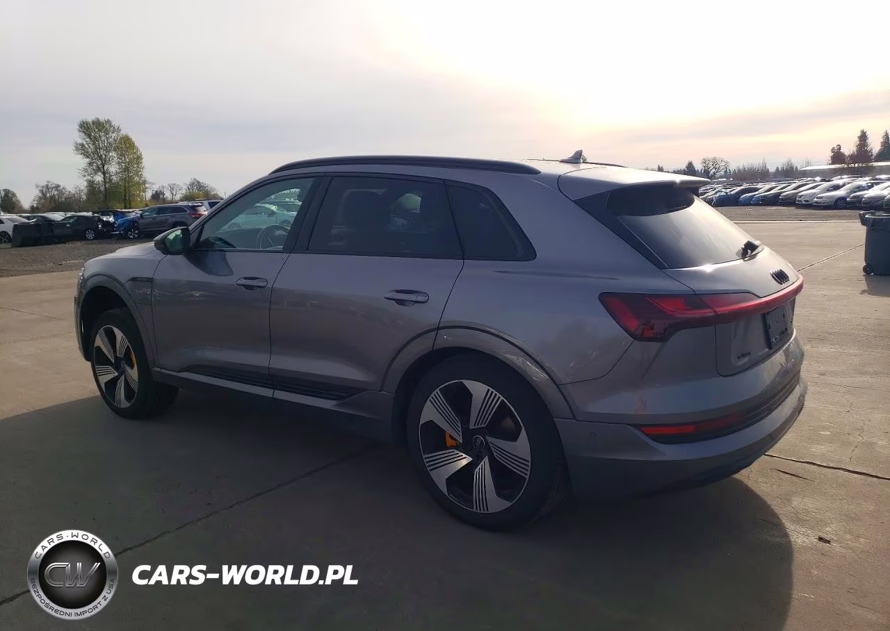 2022 Audi E-Tron Premium Plus VIN:WA1LAAGE2NB014103 - 2