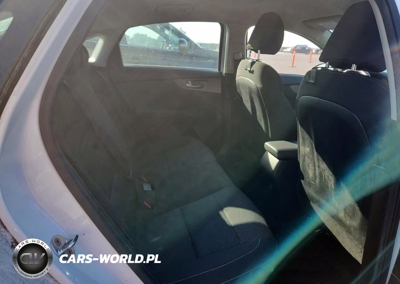 2019 Kia Forte Fe VIN:3KPF24AD7KE099729 - 10