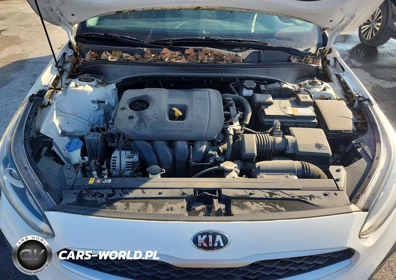 2019 Kia Forte Fe VIN:3KPF24AD7KE099729 - 11