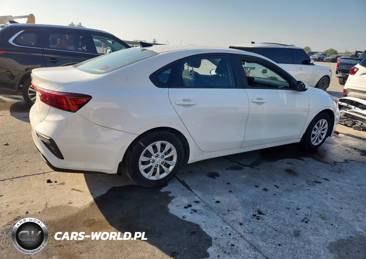2019 Kia Forte Fe VIN:3KPF24AD7KE099729 - 3