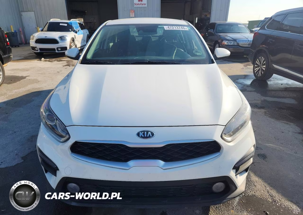 2019 Kia Forte Fe VIN:3KPF24AD7KE099729 - 5