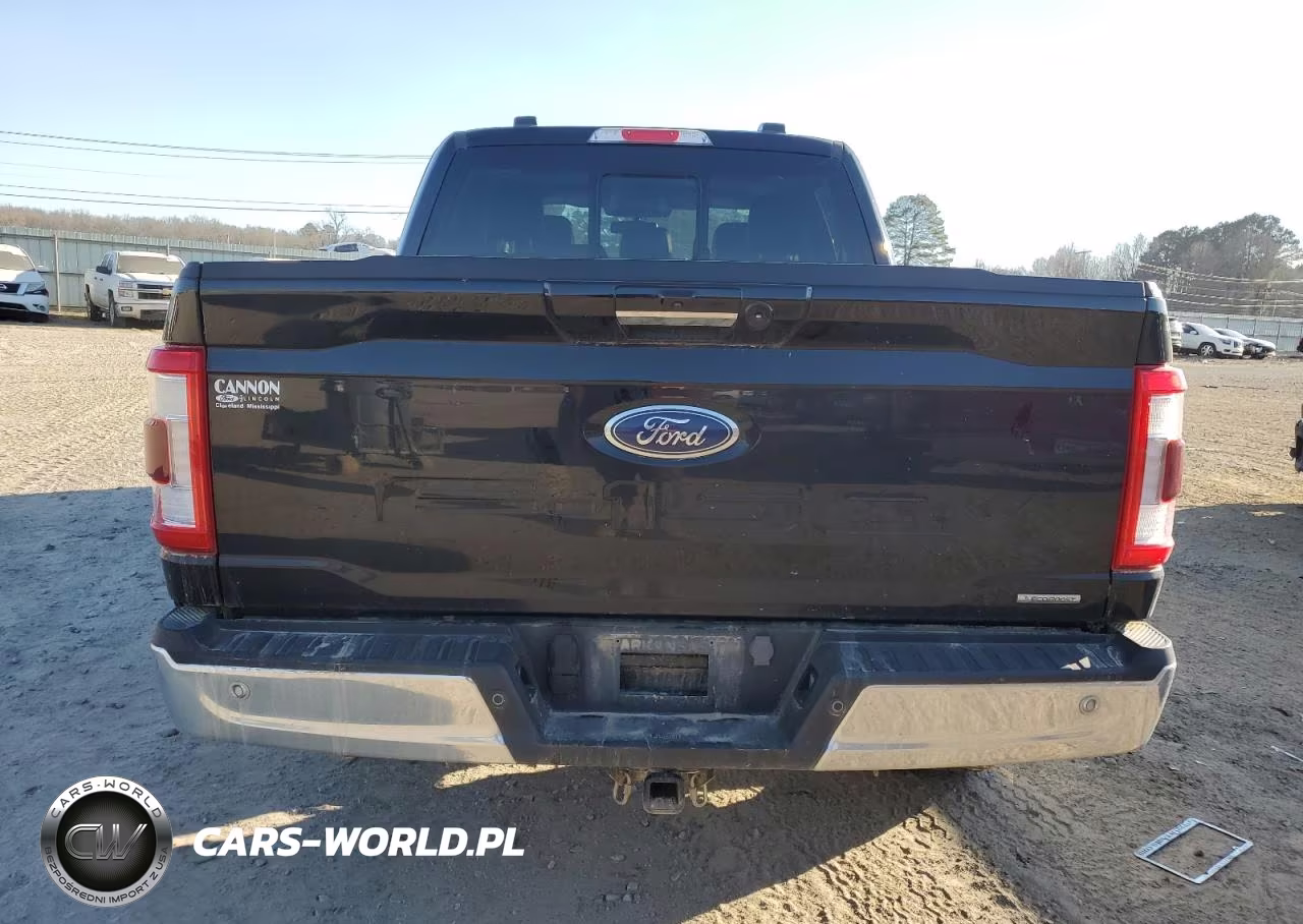 2023 Ford F150 Supercrew VIN:1FTFW1E80PFB18909 - 6