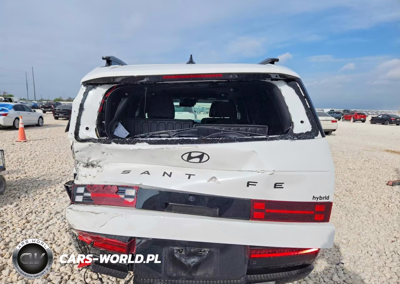 2025 Hyundai Santa Fe Hybrid Calligraphy VIN:5NMP54G10SH066332 - 6