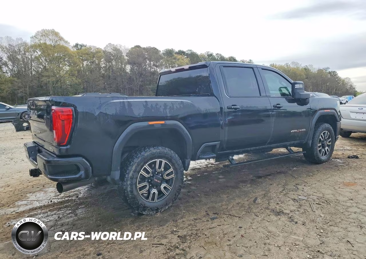 2022 GMC Sierra K2500 At4 VIN:1GT49PEY5NF134313 - 3