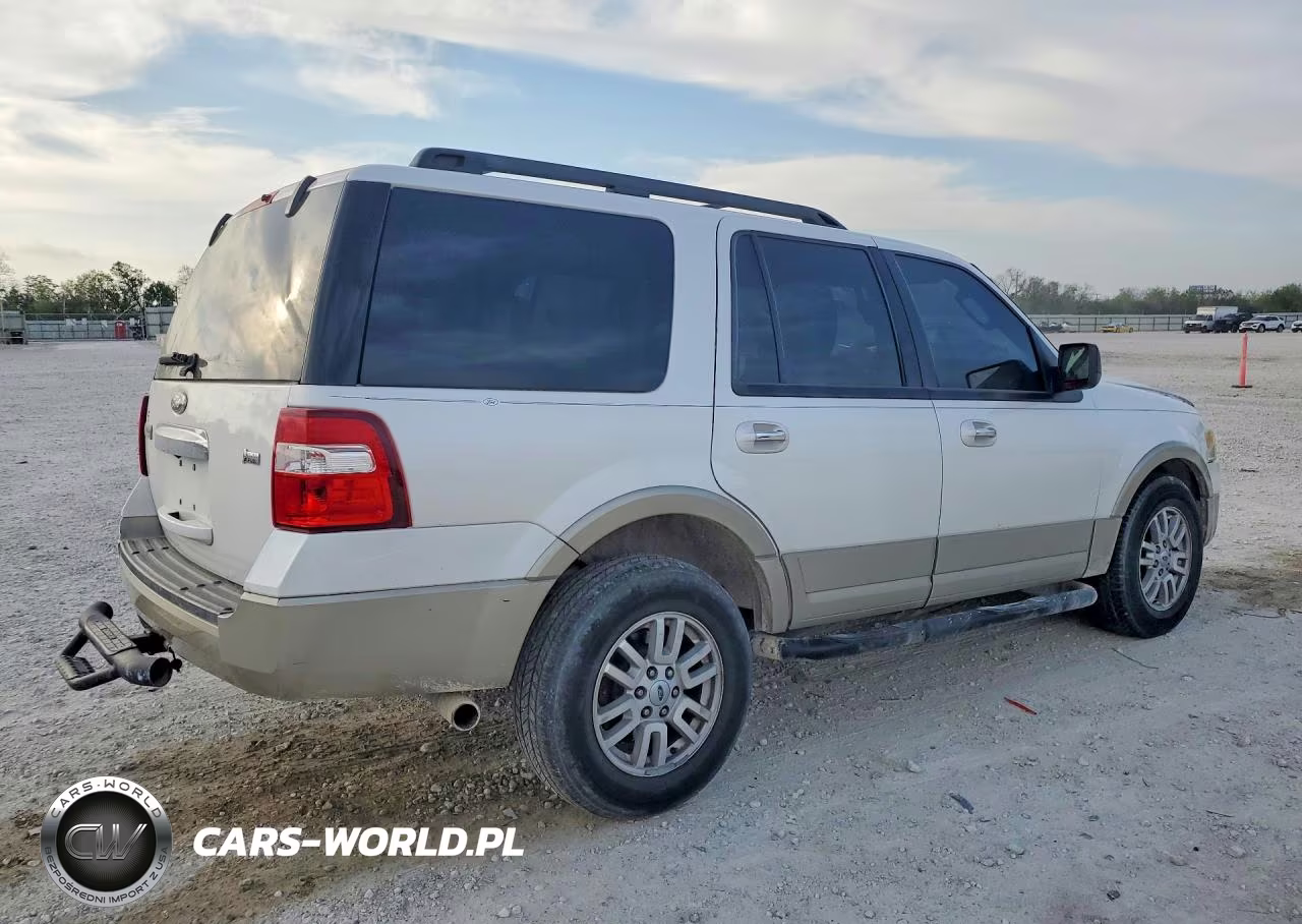 2010 Ford Expedition Eddie Bauer VIN:1FMJU1H59AEB64040 - 3