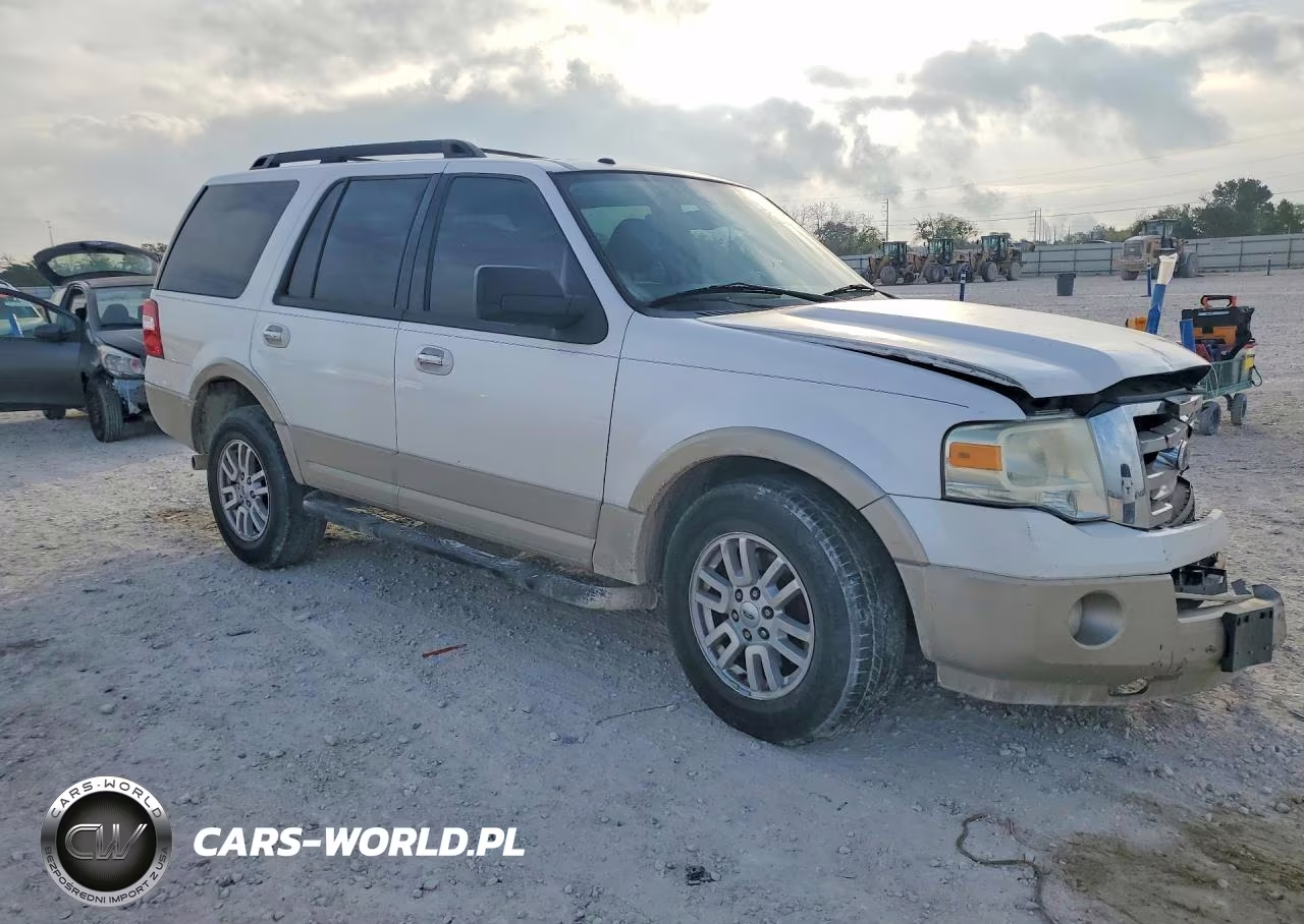 2010 Ford Expedition Eddie Bauer VIN:1FMJU1H59AEB64040 - 4