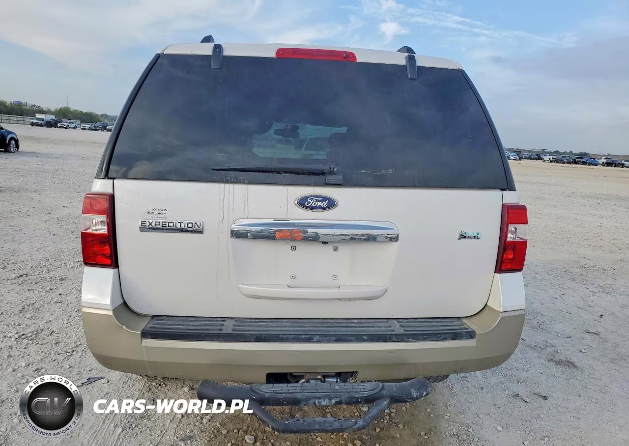 2010 Ford Expedition Eddie Bauer VIN:1FMJU1H59AEB64040 - 6
