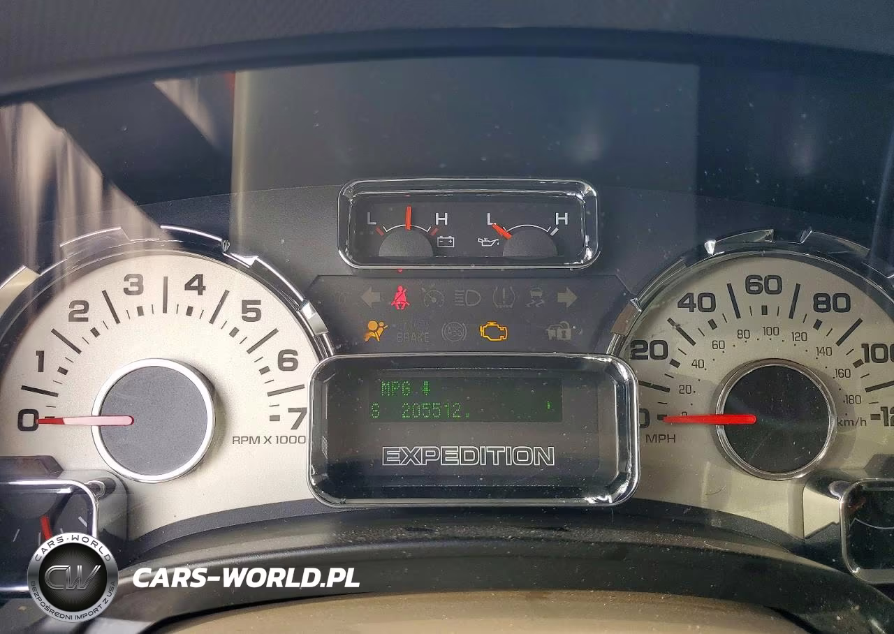 2010 Ford Expedition Eddie Bauer VIN:1FMJU1H59AEB64040 - 9