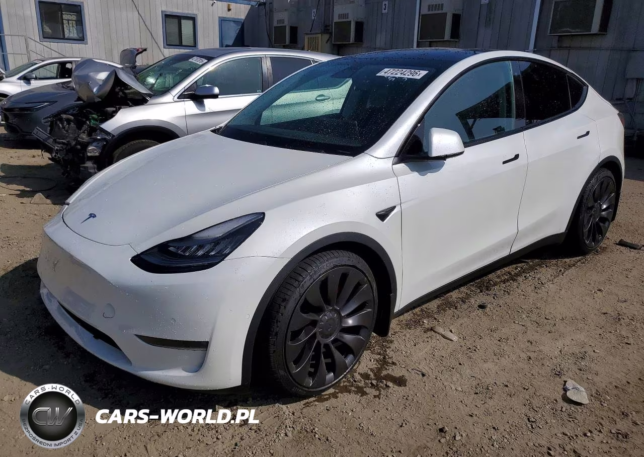 2020 Tesla Model Y