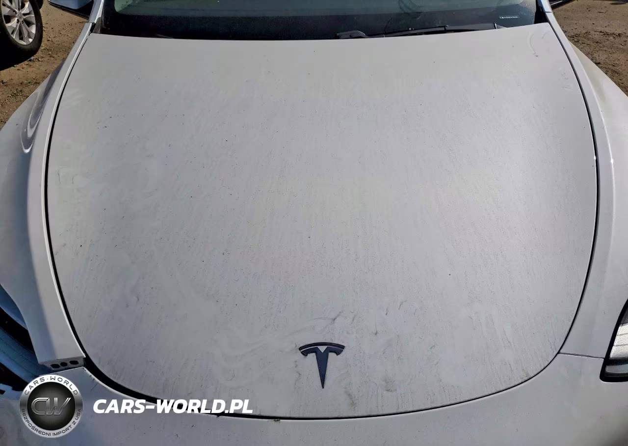 2020 Tesla Model Y VIN:5YJYGDEF9LF019316 - 12