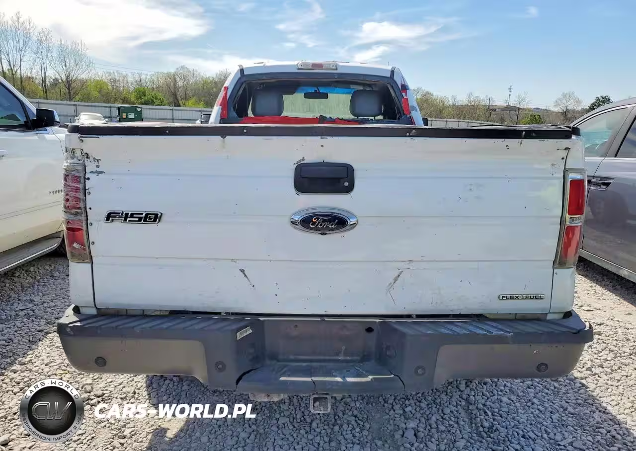 2014 Ford F150 VIN:1FTMF1CM8EKG06324 - 6
