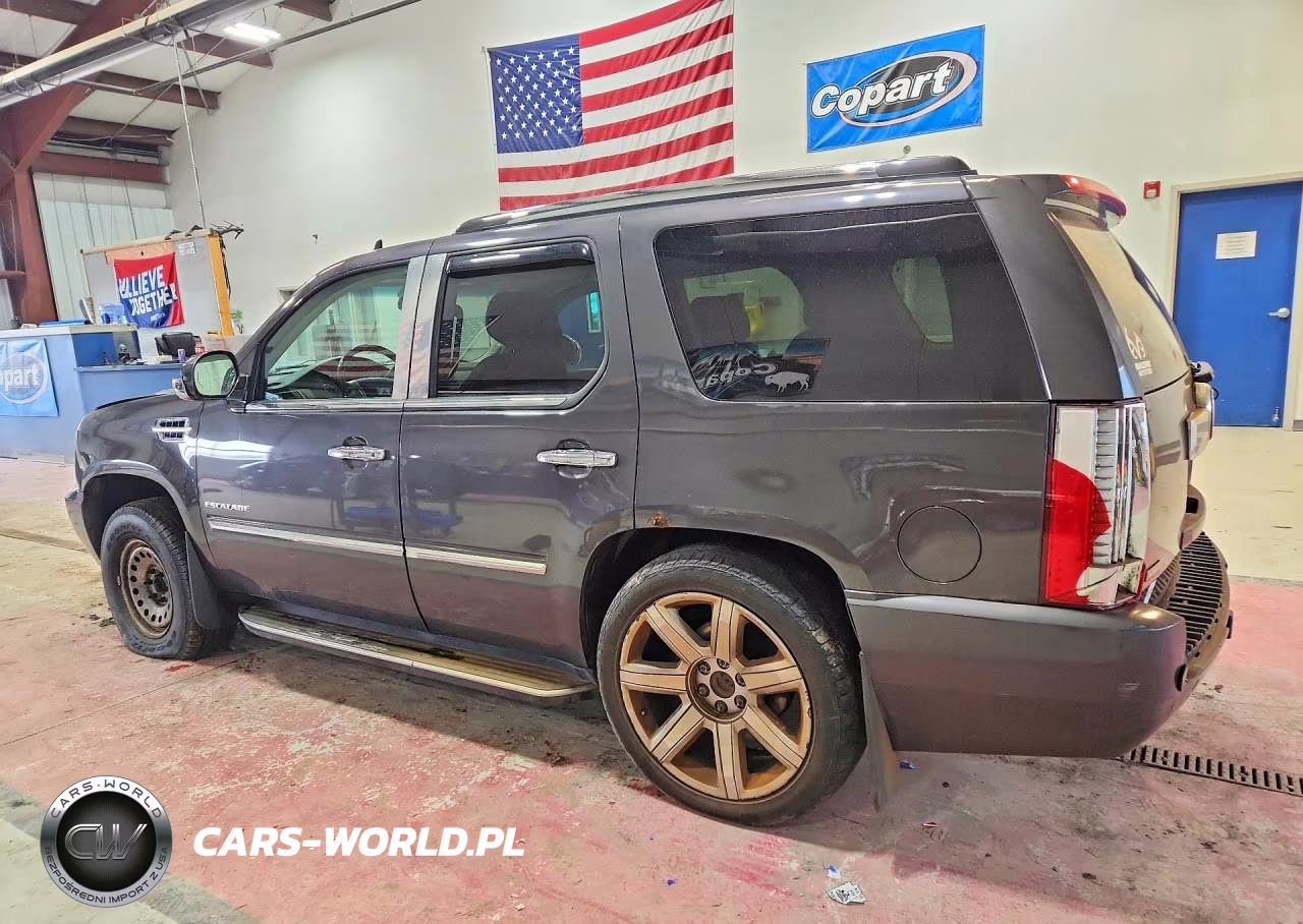 2010 Cadillac Escalade VIN:1GYUKAEF6AR180963 - 2