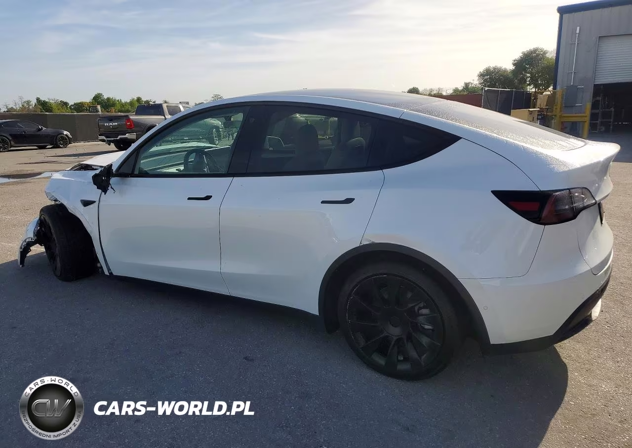 2022 Tesla Model Y VIN:7SAYGDEE1NF541967 - 2
